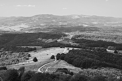 DRY_3455