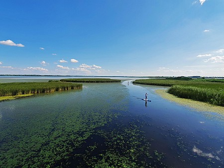 2021. június - Tisza-tó, Magyarország
